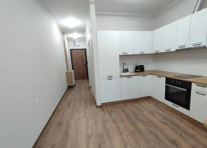 Pana 3* 파나규리슈테